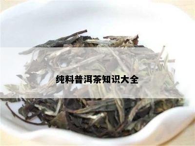 纯料普洱茶知识大全