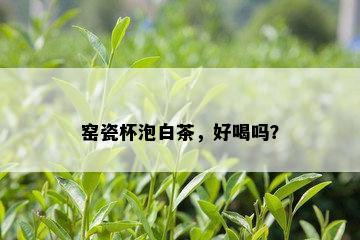 窑瓷杯泡白茶，好喝吗？