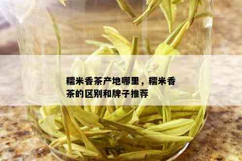 糯米香茶产地哪里，糯米香茶的区别和牌子推荐