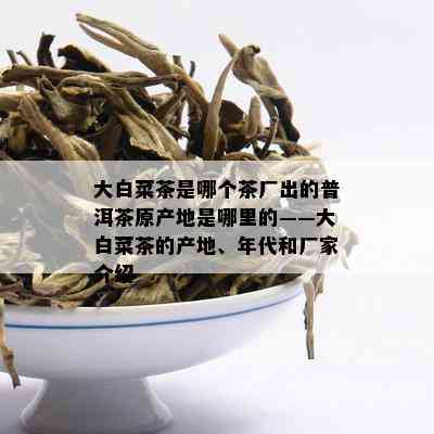 大白菜茶是哪个茶厂出的普洱茶原产地是哪里的——大白菜茶的产地、年代和厂家介绍