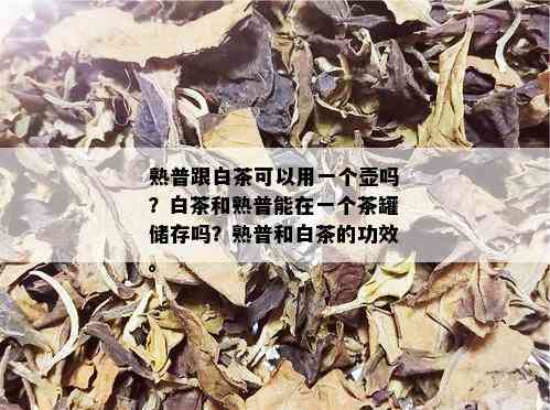 熟普跟白茶可以用一个壶吗？白茶和熟普能在一个茶罐储存吗？熟普和白茶的功效。