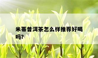 米蒂普洱茶怎么样推荐好喝吗？