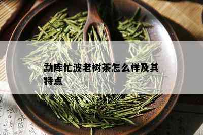 勐库忙波老树茶怎么样及其特点