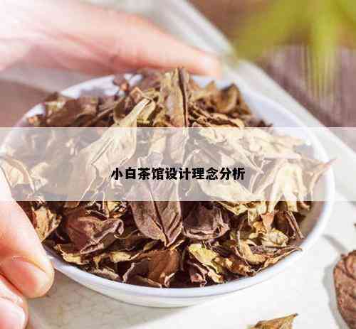 小白茶馆设计理念分析