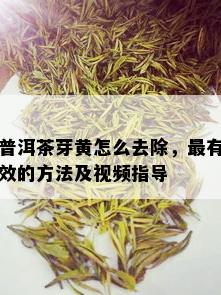 普洱茶芽黄怎么去除，最有效的方法及视频指导