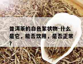 普洱茶的白色絮状物-什么是它，能否饮用，是否正常？