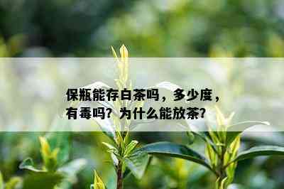 保瓶能存白茶吗，多少度，有吗？为什么能放茶？