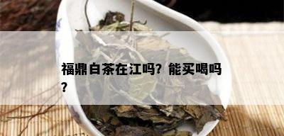 福鼎白茶在江吗？能买喝吗？