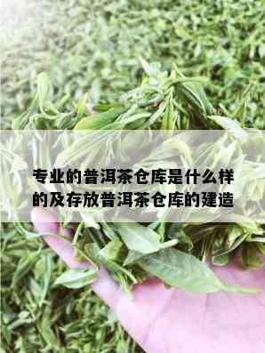 专业的普洱茶仓库是什么样的及存放普洱茶仓库的建造