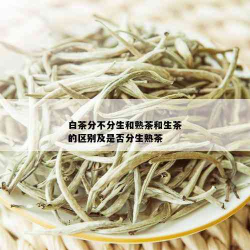 白茶分不分生和熟茶和生茶的区别及是否分生熟茶