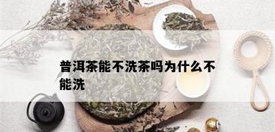 普洱茶能不洗茶吗为什么不能洗