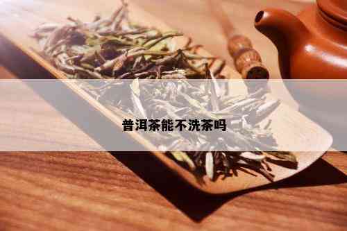 普洱茶能不洗茶吗