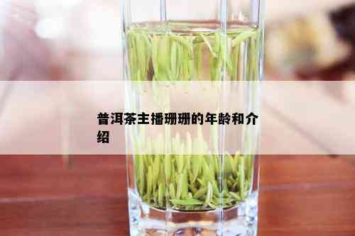 普洱茶主播珊珊的年龄和介绍