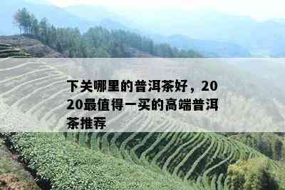 下关哪里的普洱茶好，2020最值得一买的高端普洱茶推荐