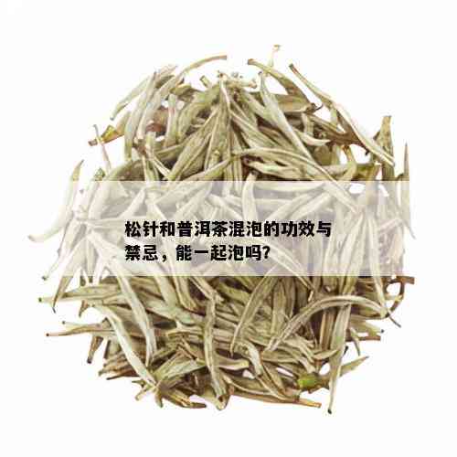 松针和普洱茶混泡的功效与禁忌，能一起泡吗？