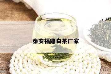 泰安福鼎白茶厂家