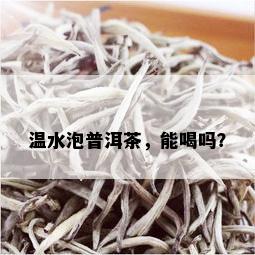 温水泡普洱茶，能喝吗？