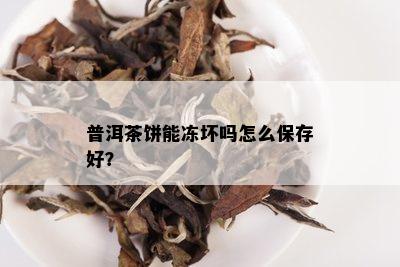 普洱茶饼能冻坏吗怎么保存好？