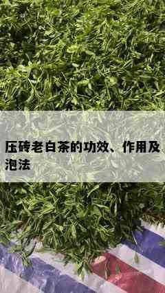 压砖老白茶的功效、作用及泡法