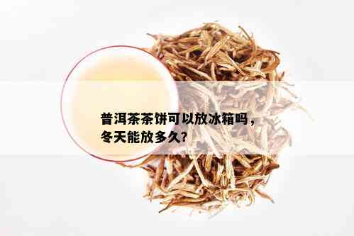 普洱茶茶饼可以放冰箱吗，冬天能放多久？