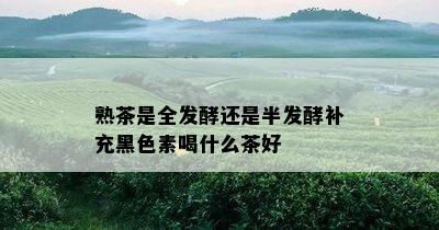 熟茶是全发酵还是半发酵补充黑色素喝什么茶好