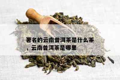 著名的云南普洱茶是什么茶，云南普洱茶是哪里