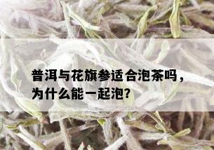 普洱与花旗参适合泡茶吗，为什么能一起泡？