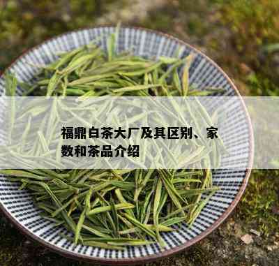 福鼎白茶大厂及其区别、家数和茶品介绍