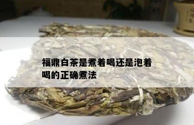 福鼎白茶是煮着喝还是泡着喝的正确煮法