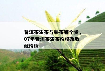 普洱茶生茶与熟茶哪个贵，07年普洱茶生茶价格及收藏价值