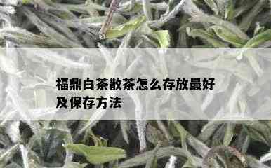 福鼎白茶散茶怎么存放更好及保存方法