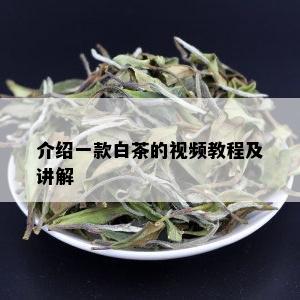 介绍一款白茶的视频教程及讲解