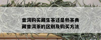 普洱购买藏生茶还是熟茶典藏普洱茶的区别及购买方法