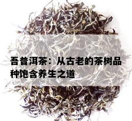 吾普洱茶：从古老的茶树品种饱含养生之道