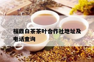 福鼎白茶茶叶合作社地址及电话查询