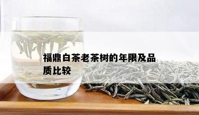 福鼎白茶老茶树的年限及品质比较