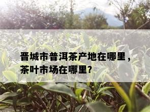 晋城市普洱茶产地在哪里，茶叶市场在哪里？