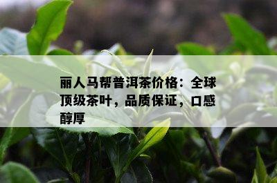 丽人马帮普洱茶价格：全球顶级茶叶，品质保证，口感醇厚