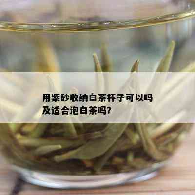 用紫砂收纳白茶杯子可以吗及适合泡白茶吗？