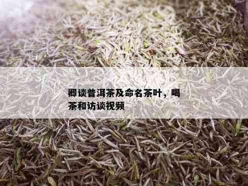 卿谈普洱茶及命名茶叶，喝茶和访谈视频