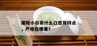 建阳小白茶什么口感及特点，产地在哪里？