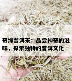 奇缘普洱茶：品尝神奇的滋味，探索独特的普洱文化