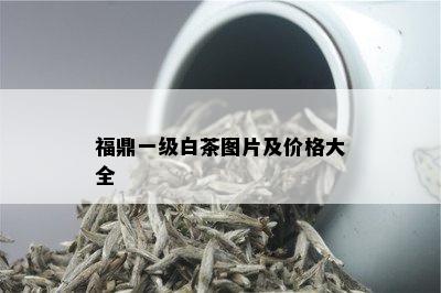 福鼎一级白茶图片及价格大全