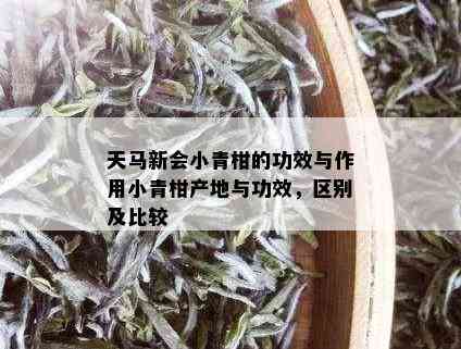 天马新会小青柑的功效与作用小青柑产地与功效，区别及比较