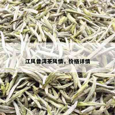 江风普洱茶风情，价格详情