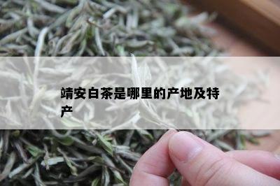 靖安白茶是哪里的产地及特产