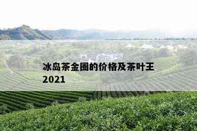 冰岛茶金圈的价格及茶叶王2021