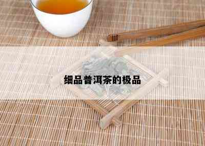 细品普洱茶的极品