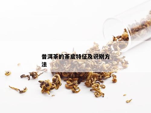 普洱茶的茶底特征及识别方法