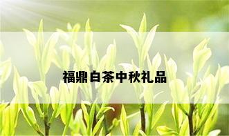 福鼎白茶中秋礼品